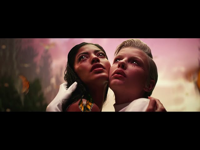 Take My Life von Jay Wheeler ((jetzt ansehen))