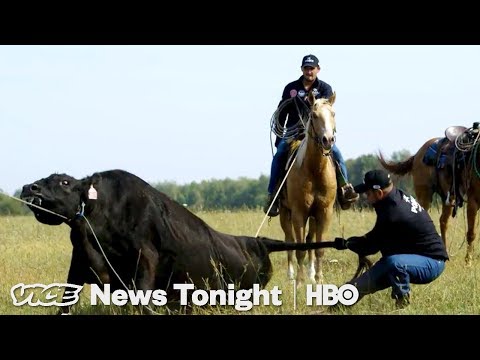 Meet The Russian Cowboys Beefing Up The Food Industry (HBO)