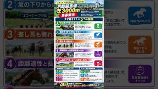 京都競馬場芝3000m データ分析　馬券傾向 #horse #競馬予想 #中央競馬予想 #競馬 #馬券 #重賞