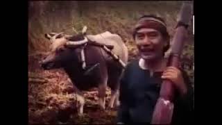 Download lagu DRAMA TARLING PANTURA'BARIDIN'FULL mp3