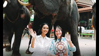 โอปอล Miss World 2025 และ คุณจูเลีย พบช้างไทย ที่หมู่บ้านช้างในจังหวัดพระนครศรีอยุธยา โอปอล Miss World 2025 และ คุณจูเลีย พบช้างไทย ที่หมู่บ้านช้างในจังหวัดพระนครศรีอยุธยา