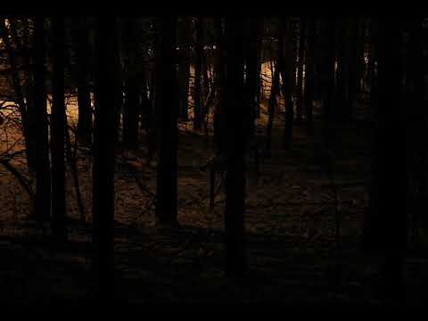 Pestek ft. MSR - To Nie Ma Znaczenia