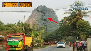 Download lagu WARGA SAKSIKAN ULAR RAKSASA TURUN GUNUNG NYUNGCUNG BOGOR mp3