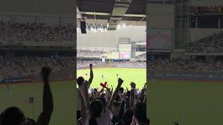 【台灣謝謝】台湾応援ありがとう#premier12 #プレミア12 日本VSキューバ中継 台湾VSオーストラリア@台北ドーム 20241117 #台湾チア #cheerleading #台日友好