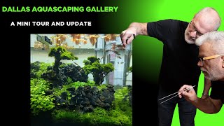 Galeria Dallas Aquascaping Gallery