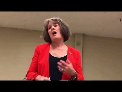 NancyOnNorwalk.com – SoNoCC mayoral debate Thomson opener 17-1019