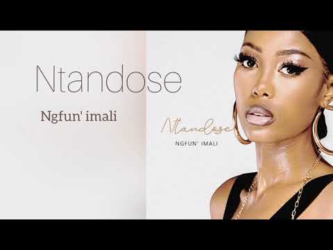 Ntandose - Ngfun' Imali (Official Audio)