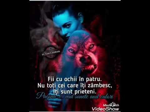 Mutu vs Cheloo vs Bazooka