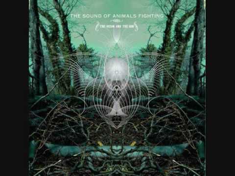 Another Leather Lung - The Sound Of Animals Fighting