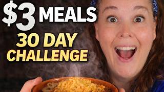 LIVING BELOW POVERTY LINE MONTH OF MEALS LOOK LIKE THIS!