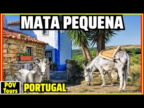 Aldeia da Mata Pequena: uma pequena aldeia rural em Portugal