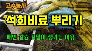 고추농사 고추밭을 정리하고 석회비료(석회고토와 패화석)을 뿌리고 로타리쳐주었습니다. 석회비료를 뿌려도 칼슘 …