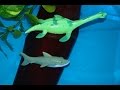 Динозавр и акула. Плезиозавр берегись акулу! Мультик для детей 