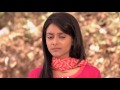 Zee World Reach For The Stars W3 April 2017