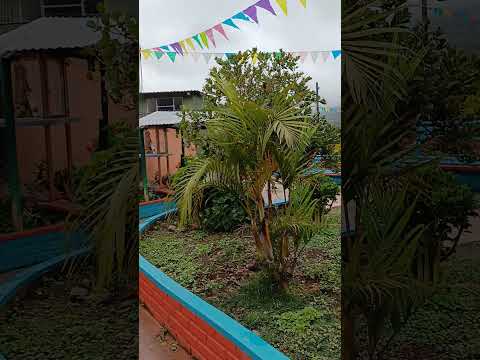 Parque Barrio Los Pinos.  San Francisco Putumayo Colombia.