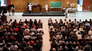 Reino Unido se reincorporará al fondo de movilidad de estudiantes Erasmus+ en 2027