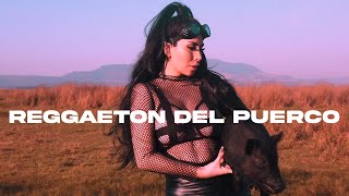 Descargar Banda La 602 Spanish Girl Ft Amarfis Mp3 Gratis Mimp3 2020 mimp3