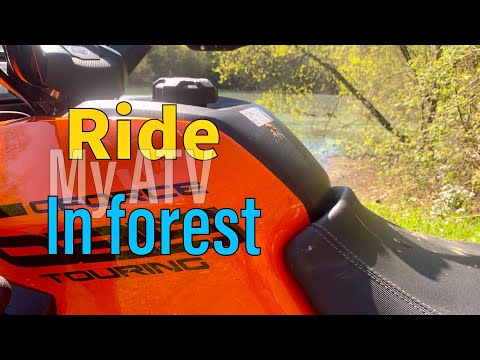 Forest ride. Cforce 625.
