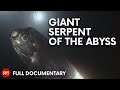 Meet The Myth The Giant Oarfish FULL DOCUMENTARY