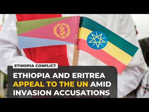 Ethiopia and Eritrea appeal to UN over growing conflict