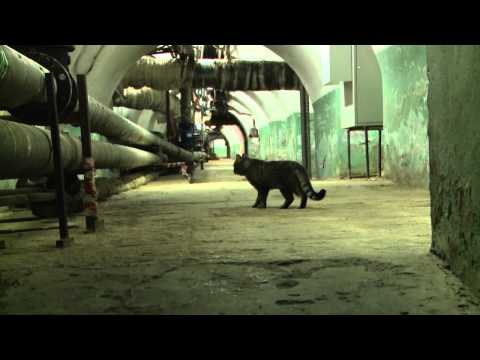 Bewakers van de Hermitage Bewakers van de Hermitage