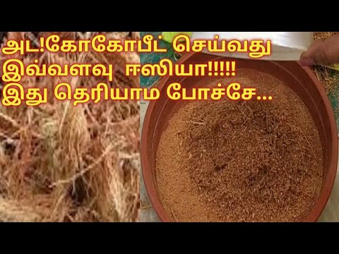 Easy way to make  Cocopeat || செலவே இல்லாமல் கோகோபீட் வீட்டிலேயே தயாரிக்கலாம் ||