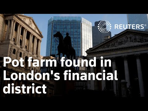 Pot farm found in London's financial district