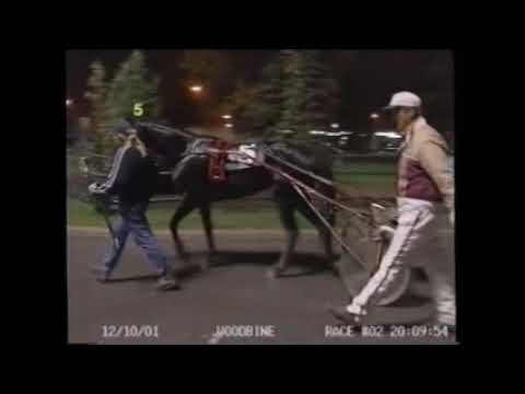 2001 Woodbine CAMERON HALL Michel Lachance Breeders Crown 2YO Fillies Trot Elimination