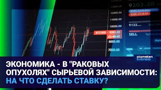 ЭКОНОМИКА - В "РАКОВЫХ ОПУХОЛЯХ" СЫРЬЕВОЙ ЗАВИСИМОСТИ: НА ЧТО СДЕЛАТЬ СТАВКУ?