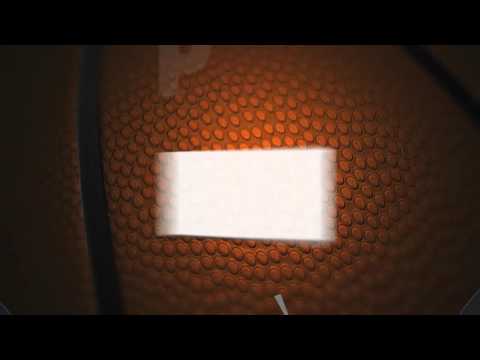 Sponspori Steaua CSM EximBank 2015-2016