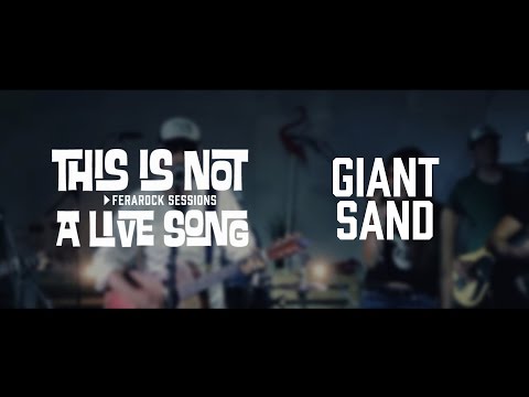 This is Not a Live Song Ferarock Sessions - GIANT SAND