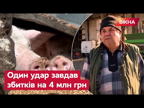 На Запоріжжі ворожі ракети влучили в ферму 1 На Запоріжжі ворожі ракети влучили в ферму 0