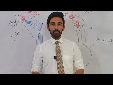 Anatomy & Physiology of mechanism of Accommodation
