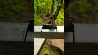 Secret Tricks to Connect Thin Square Tubes Without Welding.#shorts