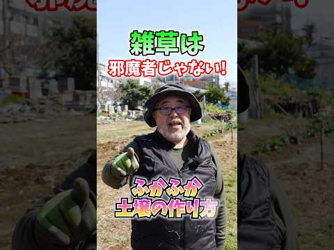 秋に家庭菜園の草取りをする理由と方法は？雑草に別れを告げるために知っておくべきことすべて  庭園