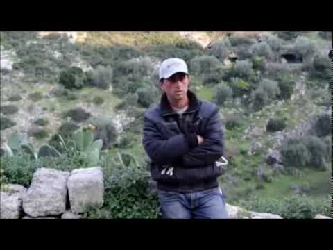 Sebastiano, pastore a 27 anni