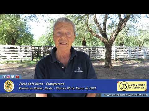 05-03-21 - Jorge de la Serna - Consignatario - Jorge y Martín de la Serna S.R. L. -  Bolivar, Bs As