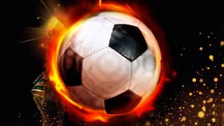 Mundial 2010 con la musica de daddy yanki