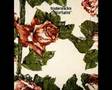 Bearsuit - Tindersticks