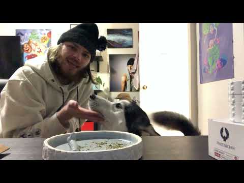 Vibe W/ Me Episode 1: *UNBOXING* NEW GRINDER/TRAY/PHONE + SMOKE SESH + MEET MYA (ACTION PACKED)