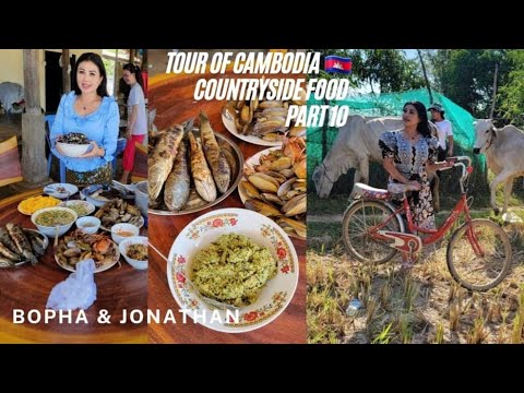 Countryside Market - Cook - Eat 🇰🇭 Part 10 - Tour of Cambodia 2022 Visit Family Members