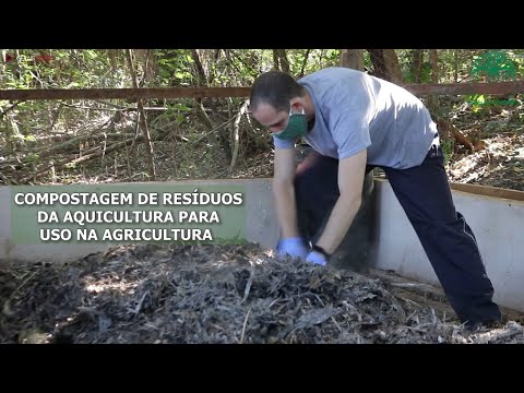 Compostagem de resíduos da Aquicultura para uso na Agricultura.