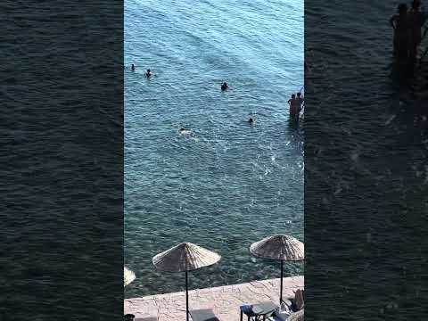 Asos Çanakkale crystal sea 🌊