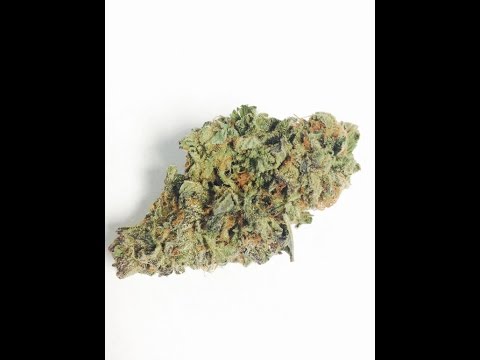 download lagu mp3 mp4 Medusa Strain, download lagu Medusa Strain gratis, unduh video klip Medusa Strain