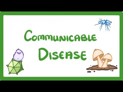 GCSE Biology Communicable Disease 34