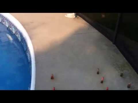 How To Fix A Floating Pool Liner