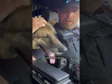 'K-9 Ritter is 10-42: Police dog retires after 8 years of service