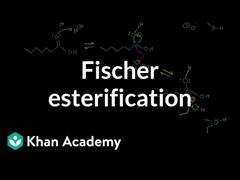 Fisher Esterification 
