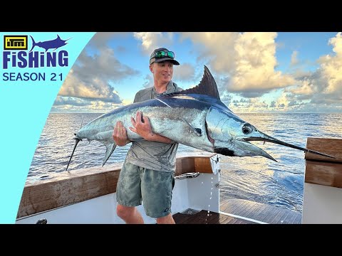 Seychelles - Fishing Big Baits for Marlin, Yellowfin Tuna, Dogtooth Tuna and Wahoo