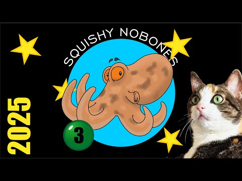 Katz-O-Kroppzeug - Squishys Adventskalender 2025 - 03